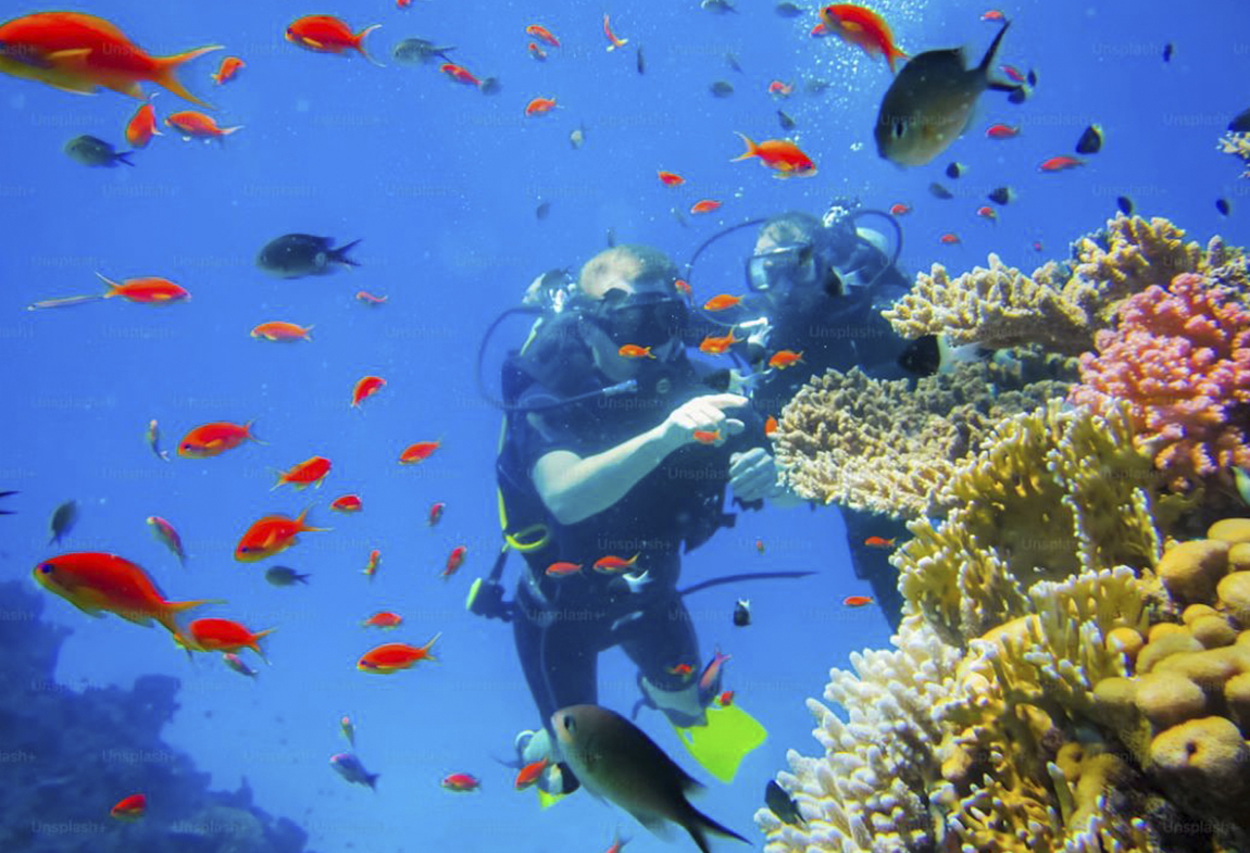 Sharm1